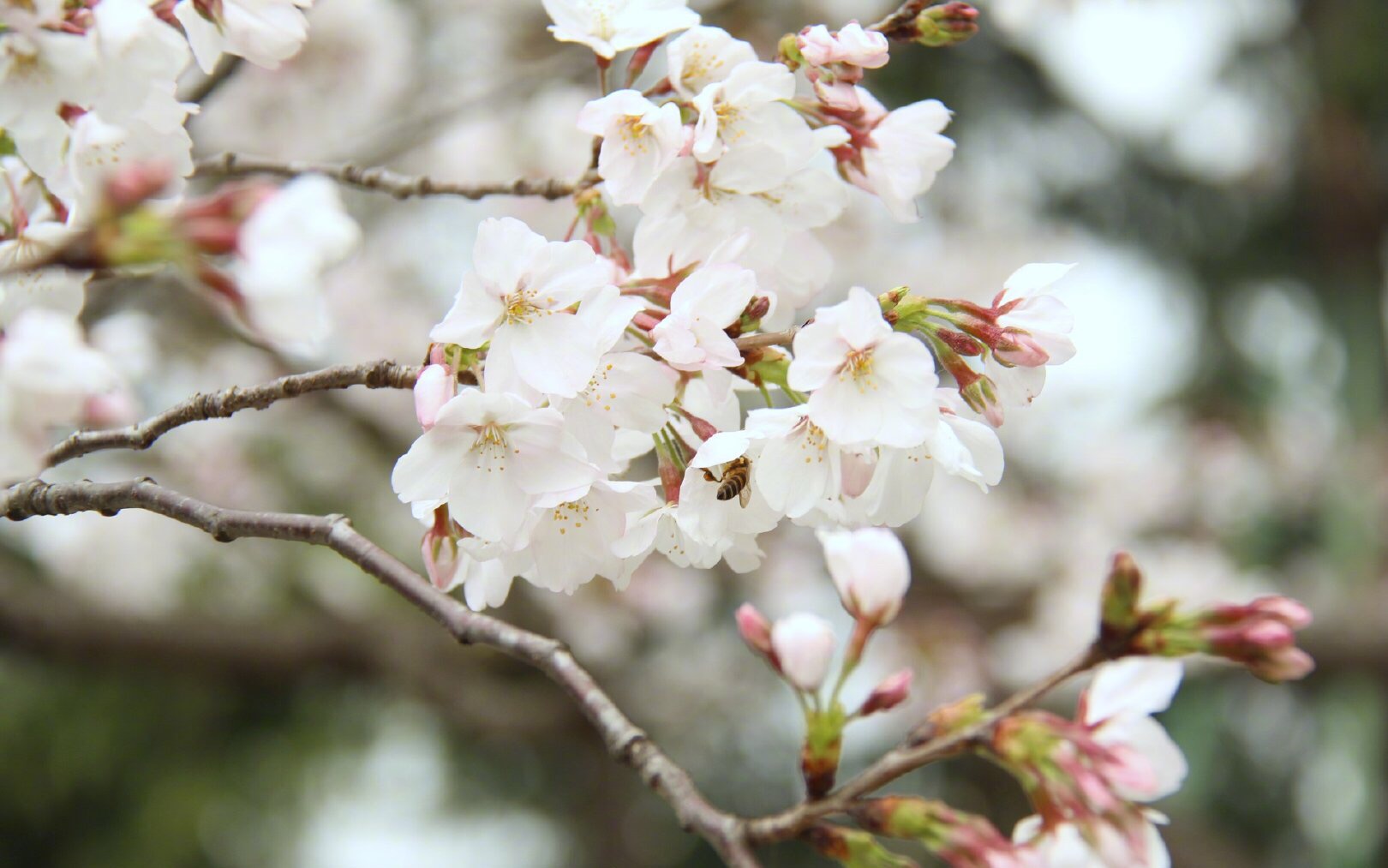 新沂市人社局開(kāi)展2020年鎮(zhèn)村兩級(jí)公共服務(wù)事項(xiàng)清單更新及辦事