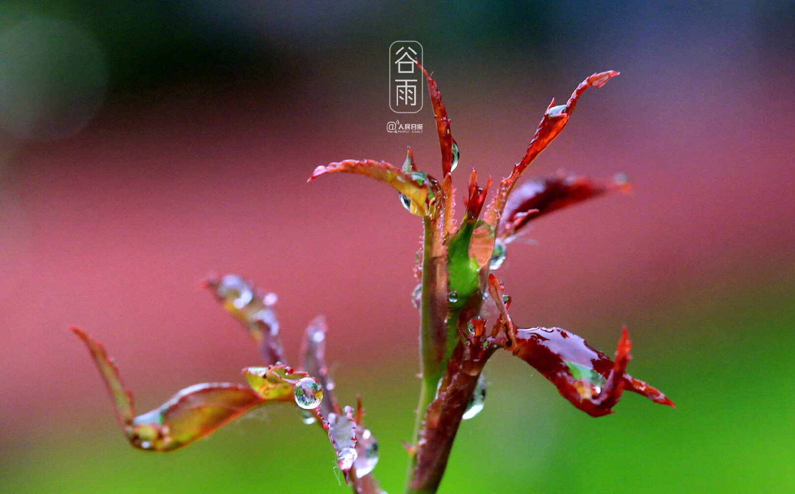 新沂市人社局扎實(shí)推進(jìn)“雙公示”數(shù)據(jù)報(bào)送工作